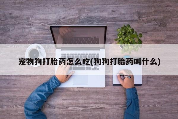 打胎药在线购买联系微信宠物狗打胎药怎么吃(狗狗打胎药叫什么)