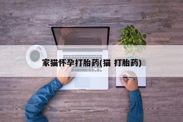 打胎药在线购买联系微信家猫怀孕打胎药(猫 打胎药)